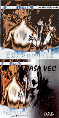 Saprophyte / Naša vec - ...On The Right Side / Karma (split CD)