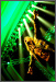 Helloween