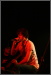 Death Revival