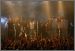 Eluveitie