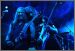 Gamma Ray
