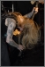 Suffocation