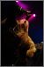 Arkona