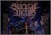 Suicidal Angels
