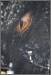 Keep Of Kalessin