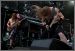 Ensiferum