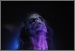 Taake