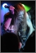 Taake
