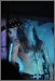Taake