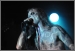 Taake