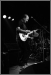 Adrian Belew Power Trio