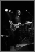 Adrian Belew Power Trio