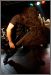 Immolation