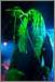 Obituary