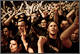 fans