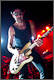 Von Hertzen Brothers
