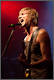 Von Hertzen Brothers
