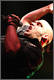 Blaze Bayley