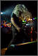 Lamb of God
