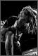 Lamb of God