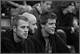 fans